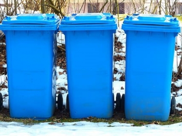 Blue bins